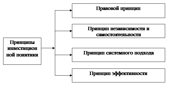 Повышение эффективности инвестиционной политики отечественных предприятий на примере ОАО Нижнекамскшина 1