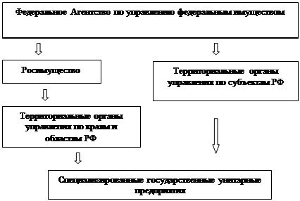 Контрольная работа: Организация управления государственной собственностью в Российской Федерации 1