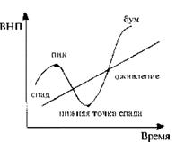  виды циклов 1