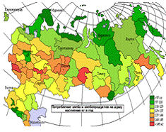Уровень жизни населения России и потребительский спрос 16
