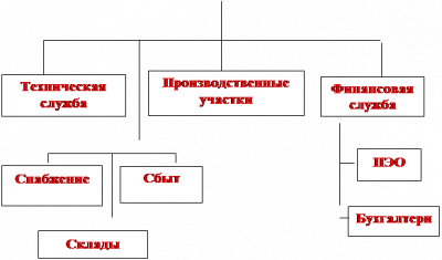  структура управления и виды деятельности 1
