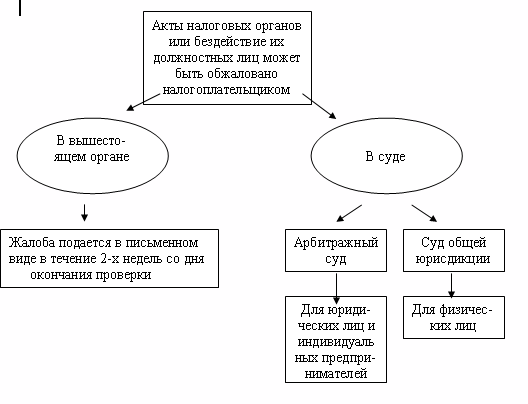  виды налоговых проверок 1