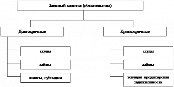 Глава характеристика структуры и основных форм капитала 3