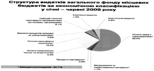  склад та структура видатків місцевих бюджетів україни 9