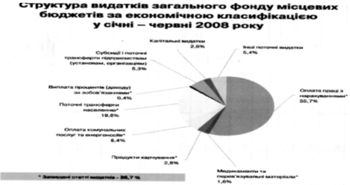  склад та структура видатків місцевих бюджетів україни 10