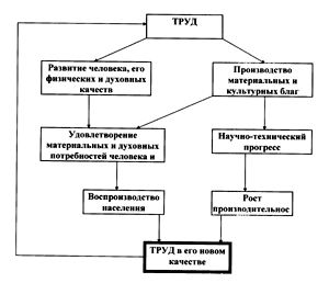  роль труда в развитии общества 2