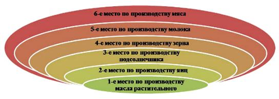 Состояние и перспективы развития агропромышленного комплекса региона (на примере Ростовской области) 10