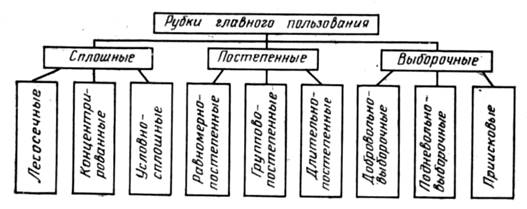  классификация рубок главного пользования 1