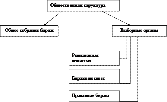 Общественная структура 1