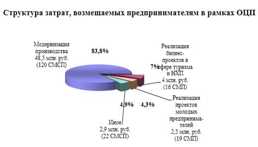  поддержка малого бизнеса в челябинской области 3