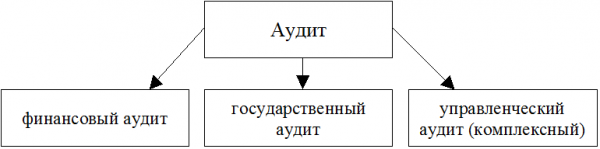 Аудит персонала диплом 1