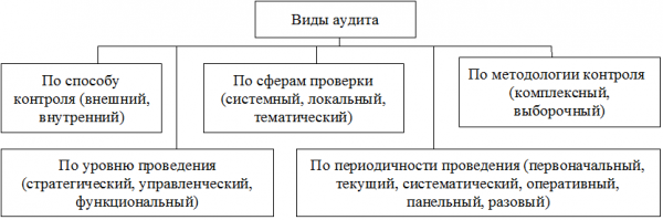 Аудиту персонала свойственны следующие отличительные черты  1