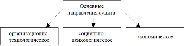  цели и задачи аудита 1