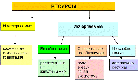  природные ресурсы в мировой экономике 1