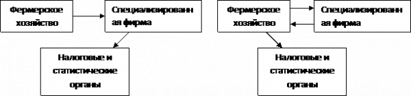 Организация бухгалтерского учета в крестьянских(фермерских) хозяйствах на примере ФХ«САХАЛИН» Сакского района - Учеба – Шпаргалки, тесты с ответами, , курсовая, рабочие программы, лекции, методички, учебники 3