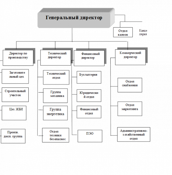 Генеральный директор 1