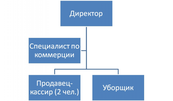  организационно экономическая характеристика предприятия 1