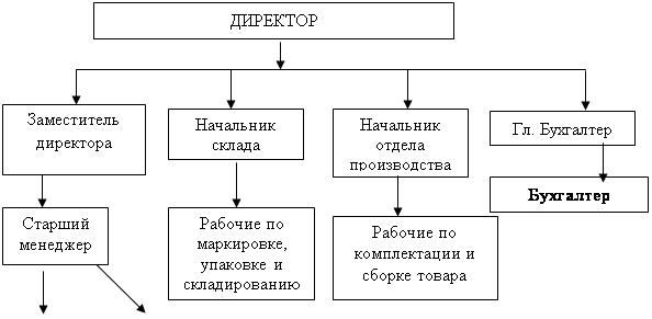  анализ организационной структуры 1