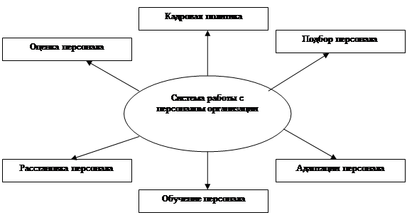  система управления и ее элементы 1