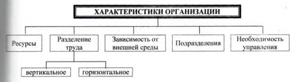 Рис организационные процессы 1