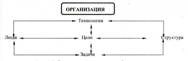 Рис общие характеристики организации 1