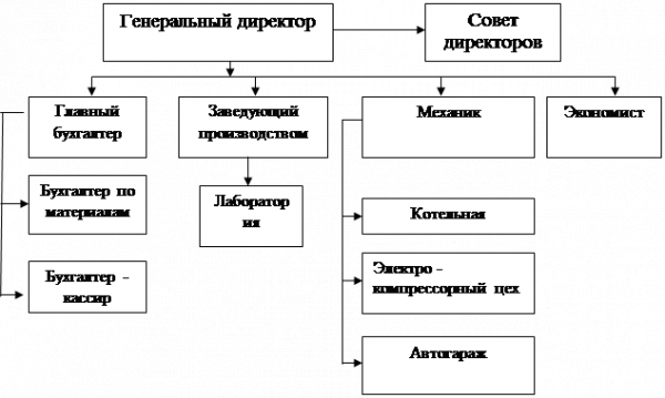  организационная структура и структура управления оао 1