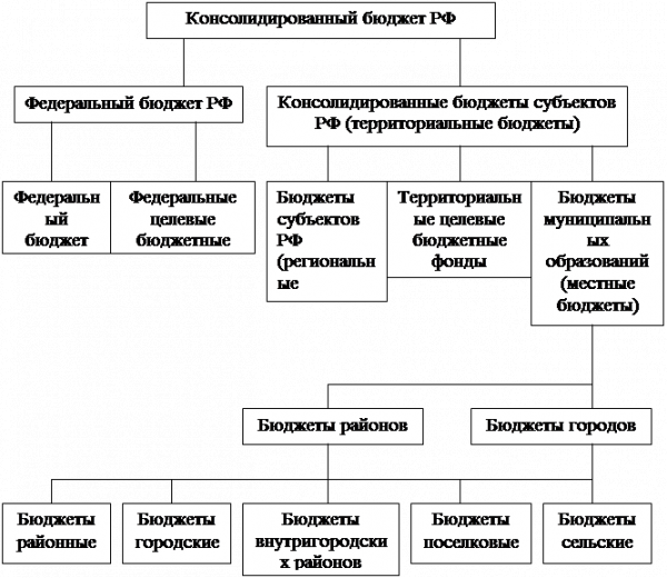  понятие и сущность расходов территориальных бюджетов 1