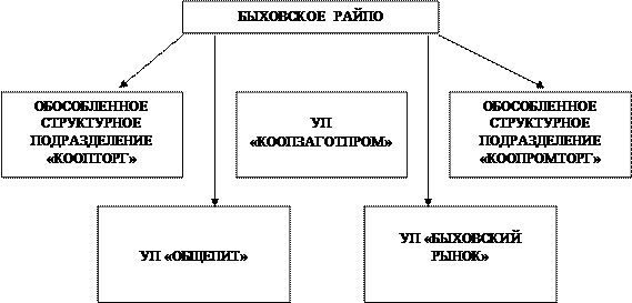  краткая экономико организационная характеристика быховского райпо 1