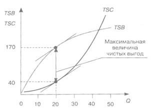 Чистое частное благо 15