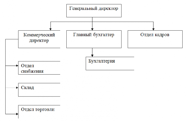 Учет бюджетного финансирования диплом 1