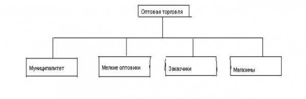 Организация коммерческой деятельности на предприятии оптовой торговли 1