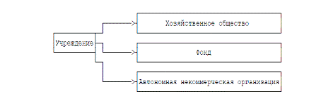  виды некоммерческих организаций в российской федерации 1