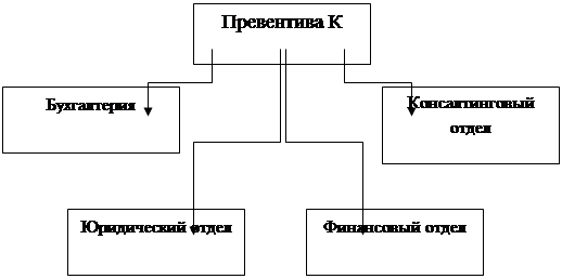  организационная структура предприятия 2