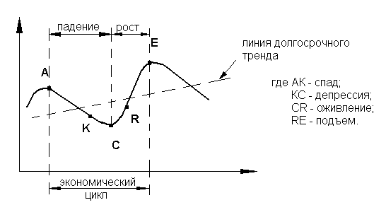 Выделяют фазы цикла  1