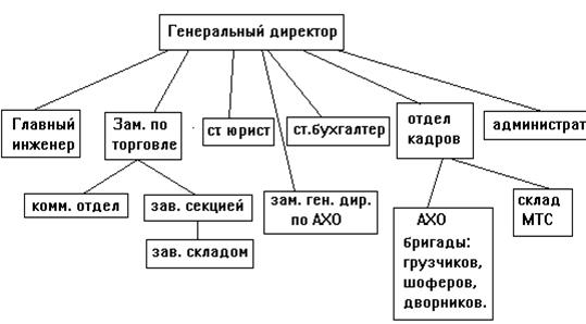 Приблизительная структура управления оао торговый дом цум  1