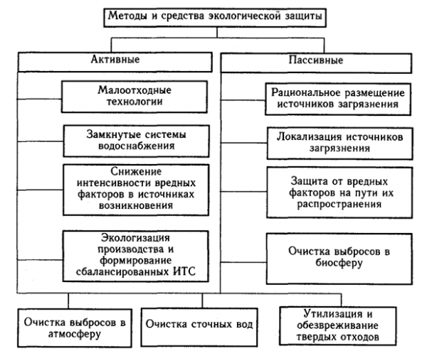 Экологическая биотехнология  1