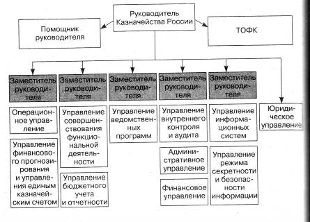  структура и организация органов казначейства 3