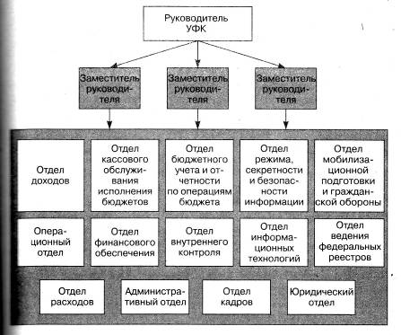  структура и организация органов казначейства 4