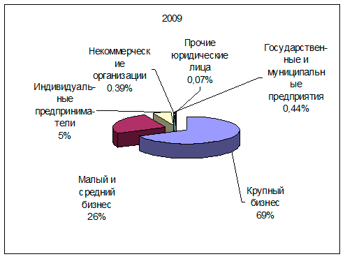 Состав кредитного портфеля по видам юридических лиц в 2009 году