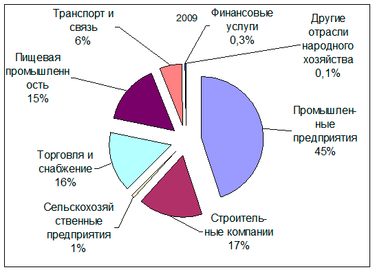 Состав кредитного портфеля Банка по отраслям в 2009 году