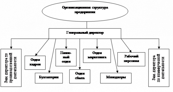  организационно экономическая характеристика 1