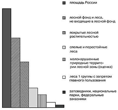 Лесной кодекс российской федерации 1