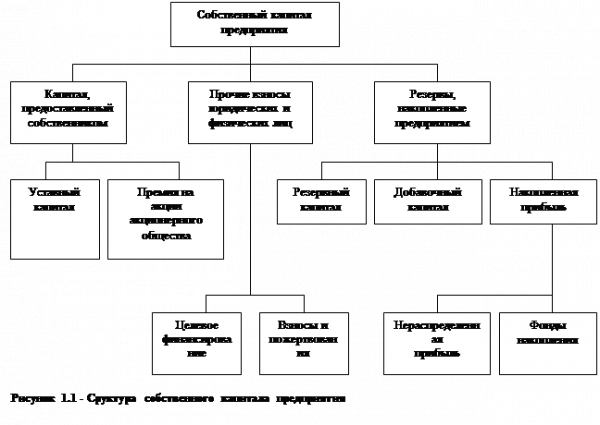  сущность 1