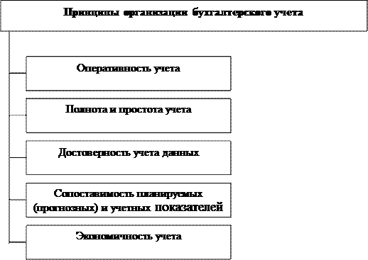 Принципы организации бухгалтерского учета  1