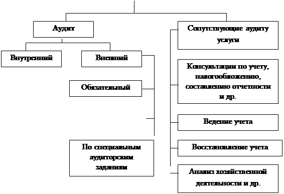  цели и задачи аудиторской деятельности 1