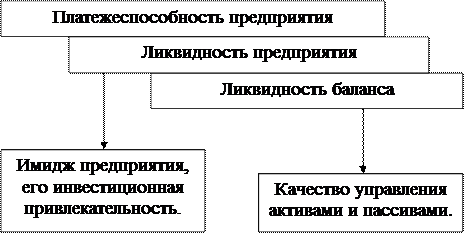 Анализ бухгалтерской отчетности предприятия 1